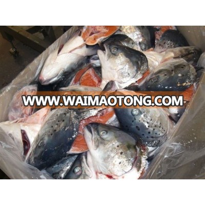 Salmon Fish, Frozen salmon fillet,Salmon Fish Head